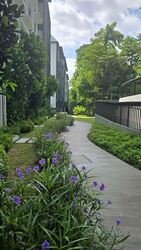 Mayfair Gardens (D21), Condominium #541006141